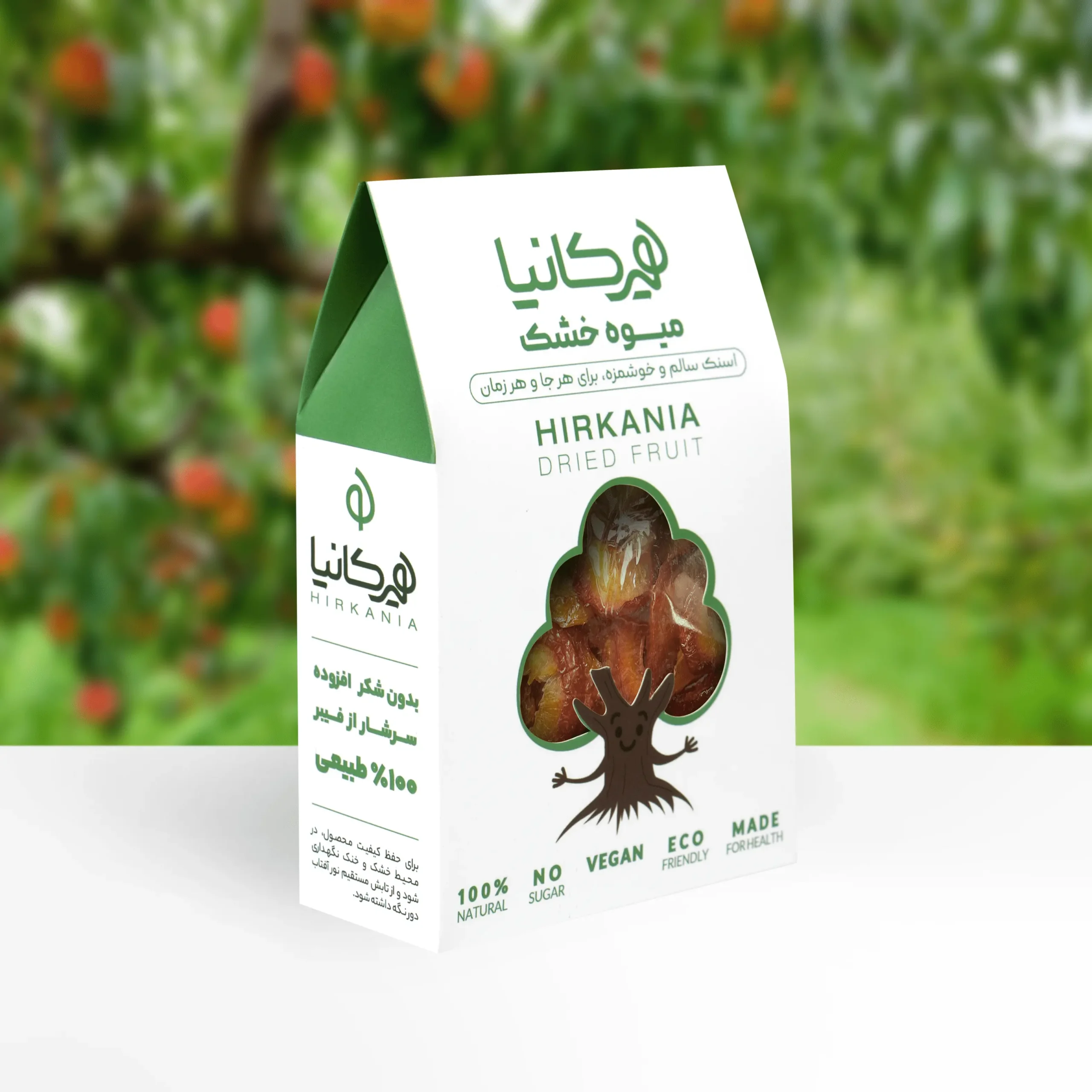 image_2025-12-09_23-07-31-min