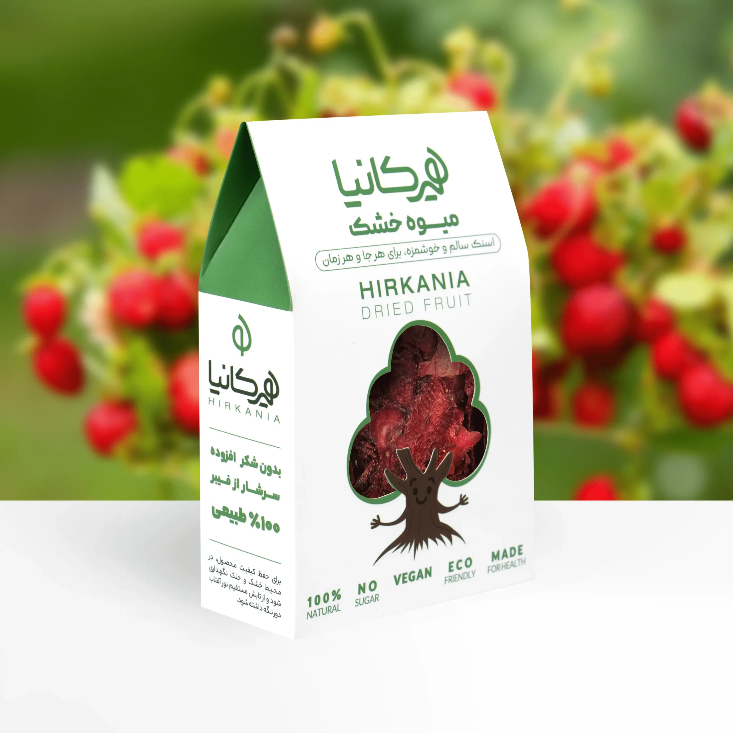 image_2025-12-09_23-09-22-min