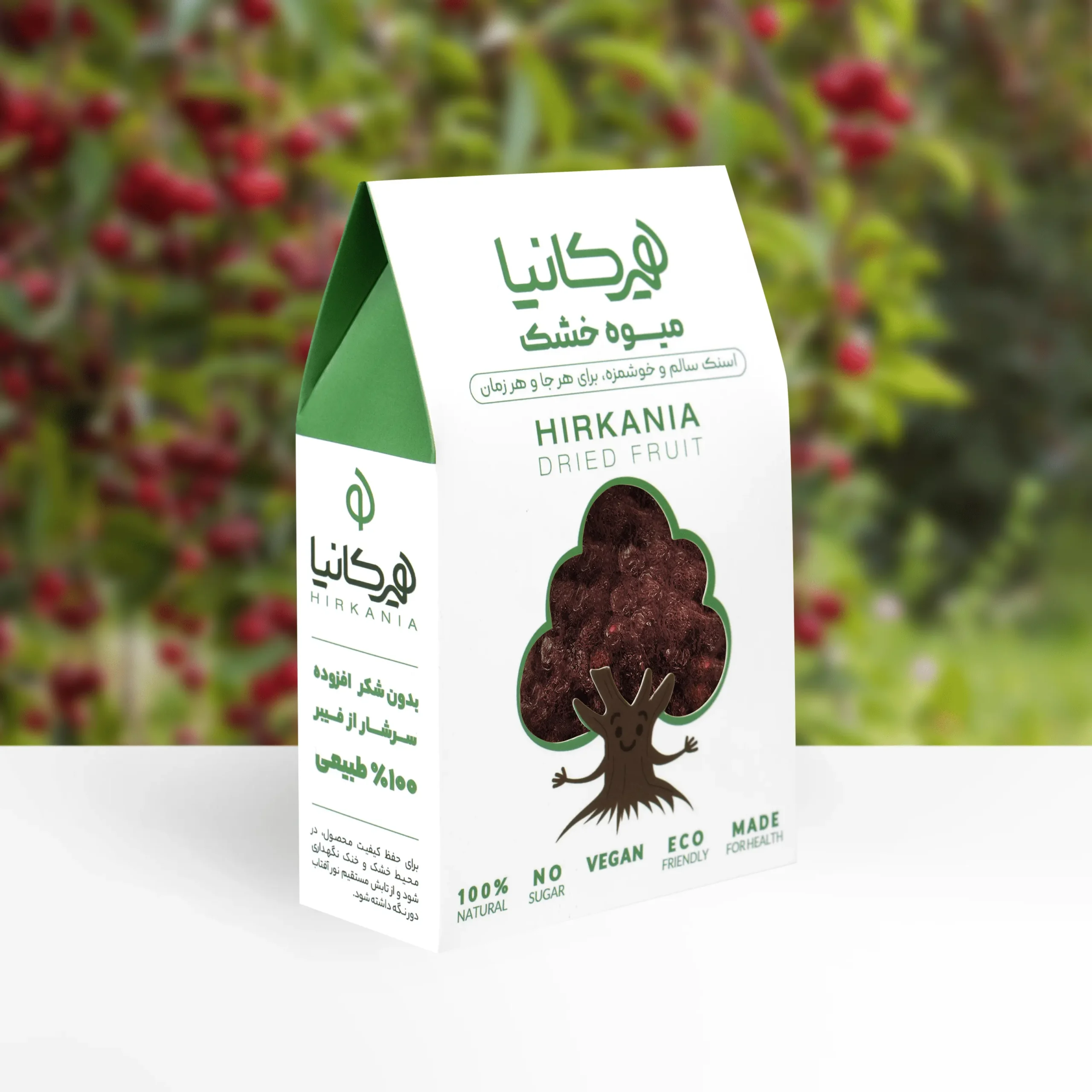 image_2025-12-09_23-17-50-min