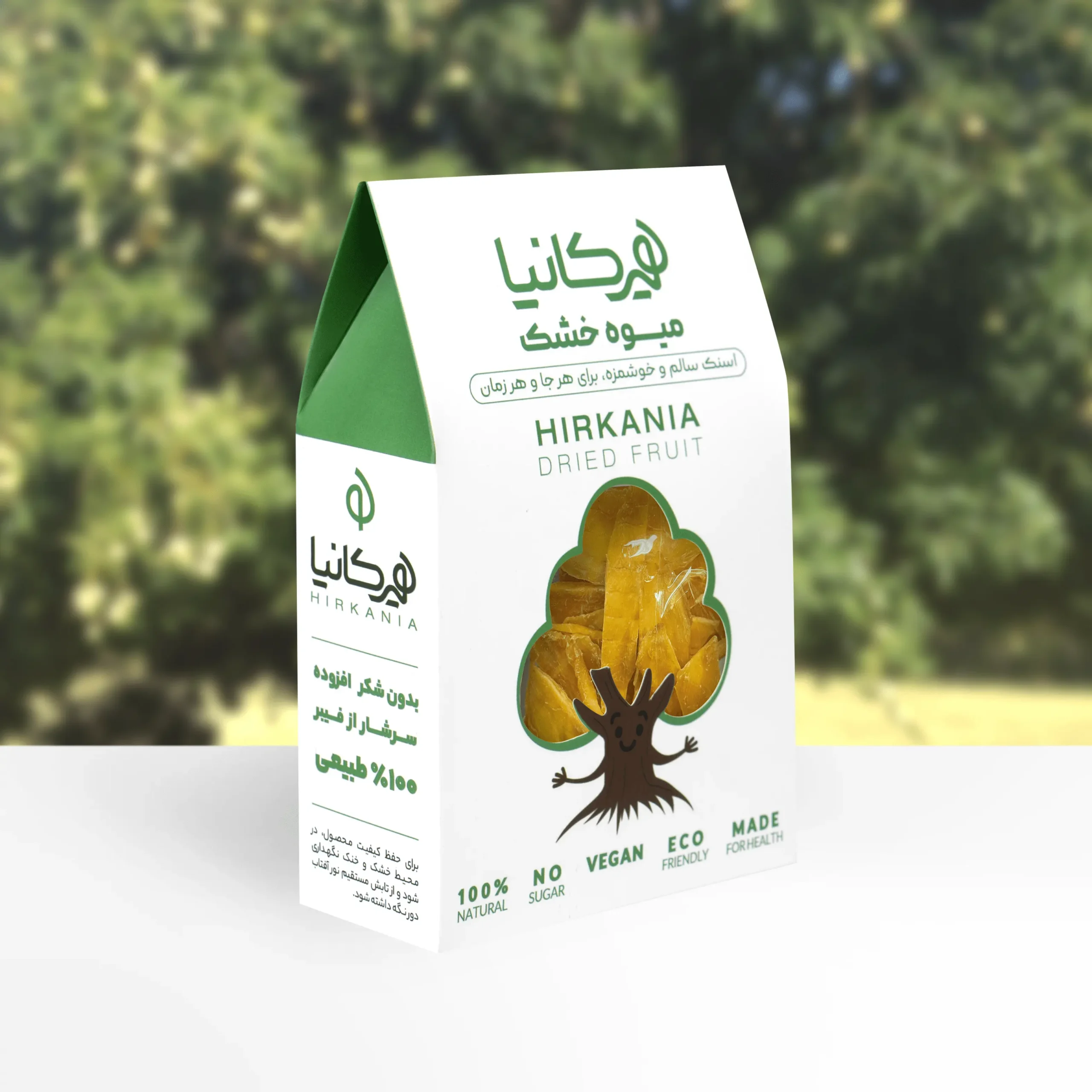 image_2025-12-09_23-22-10-min