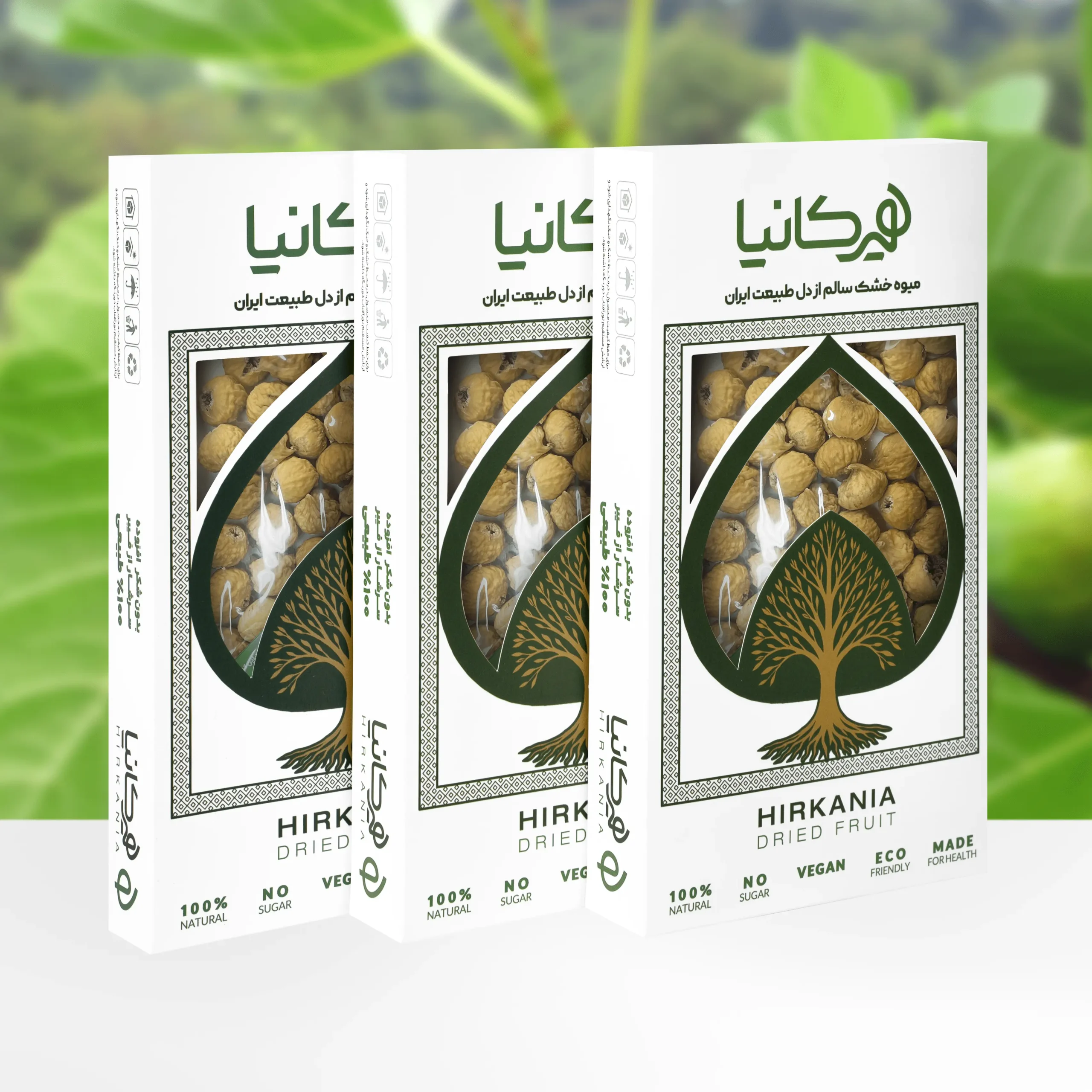 image_2025-12-14_00-07-19-min