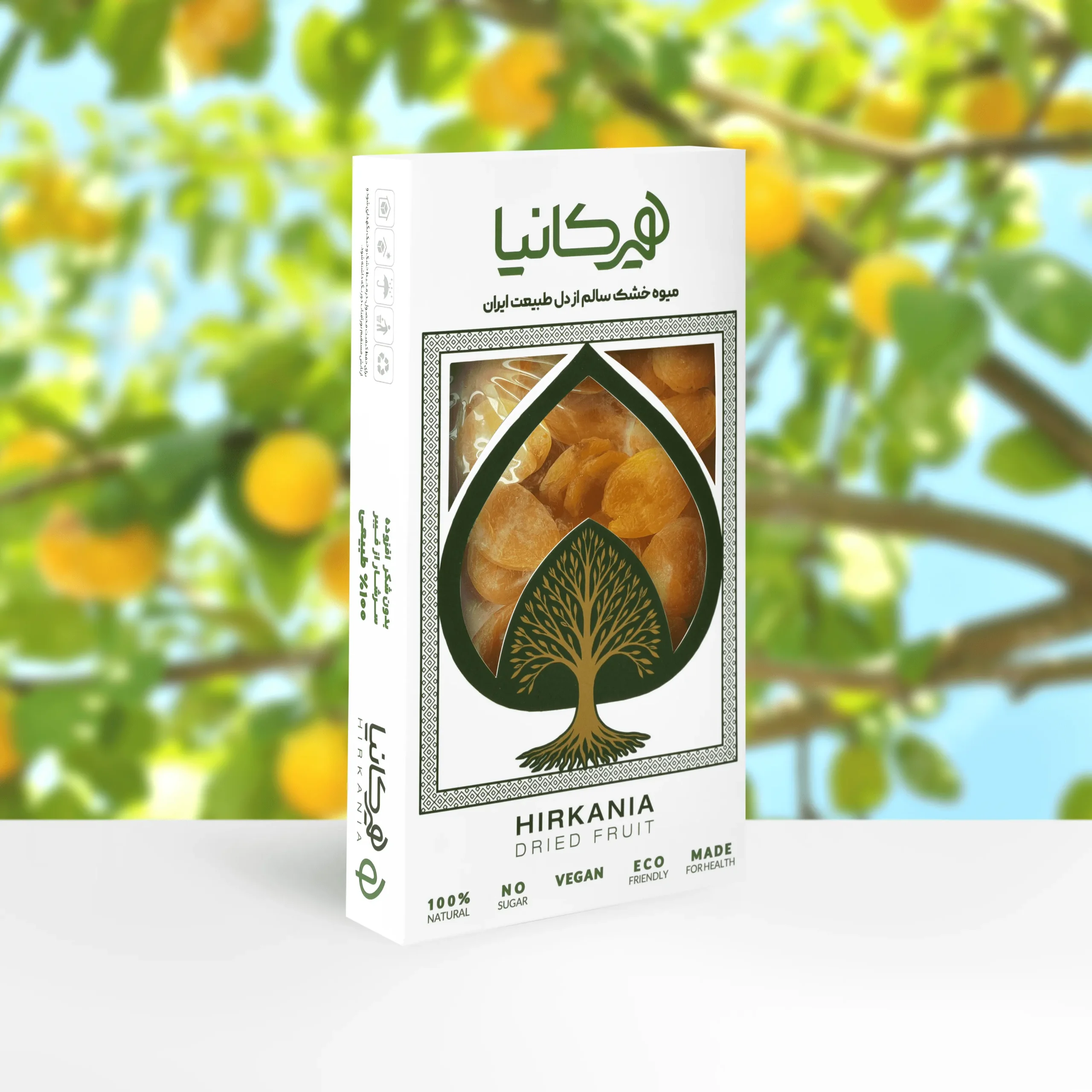 image_2025-12-14_00-14-57-min