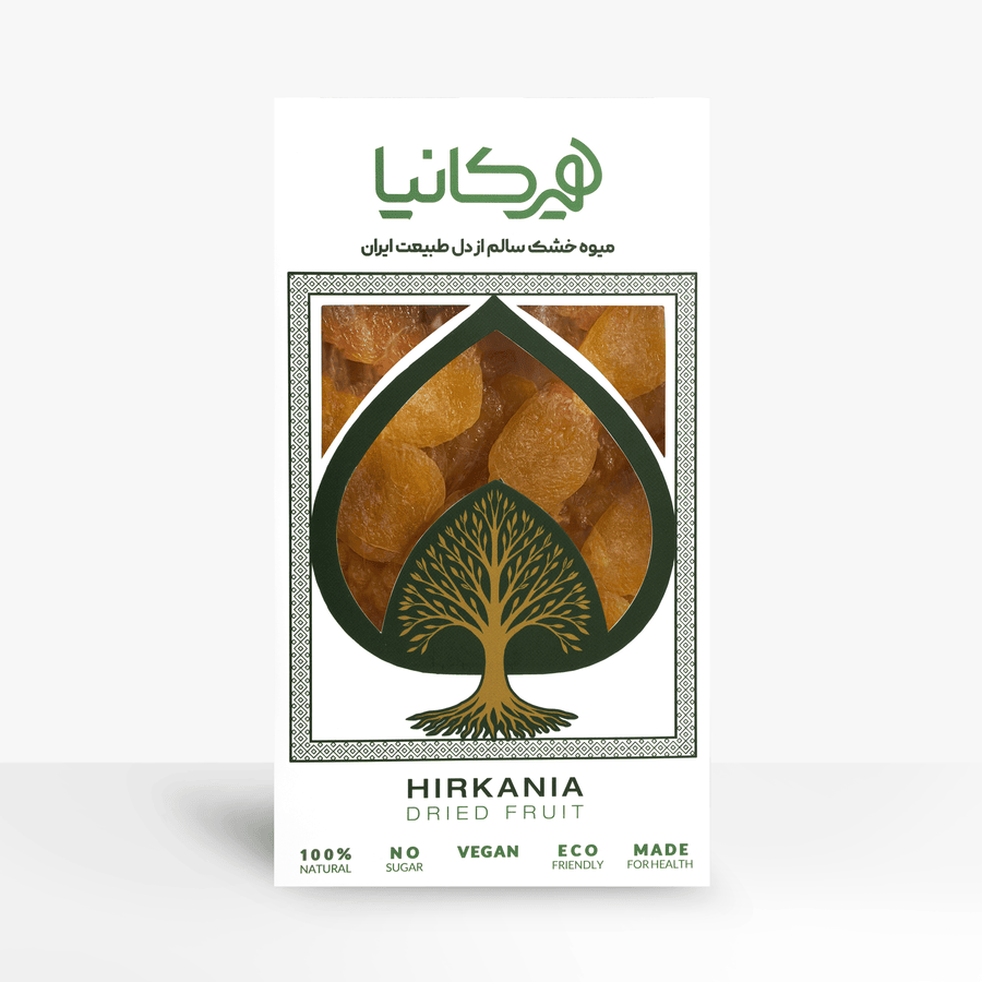 image_2025-12-19_22-31-05