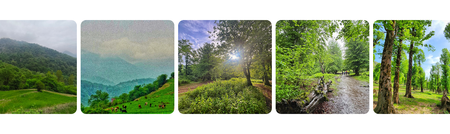 Five views of Iran’s green mountains and forests