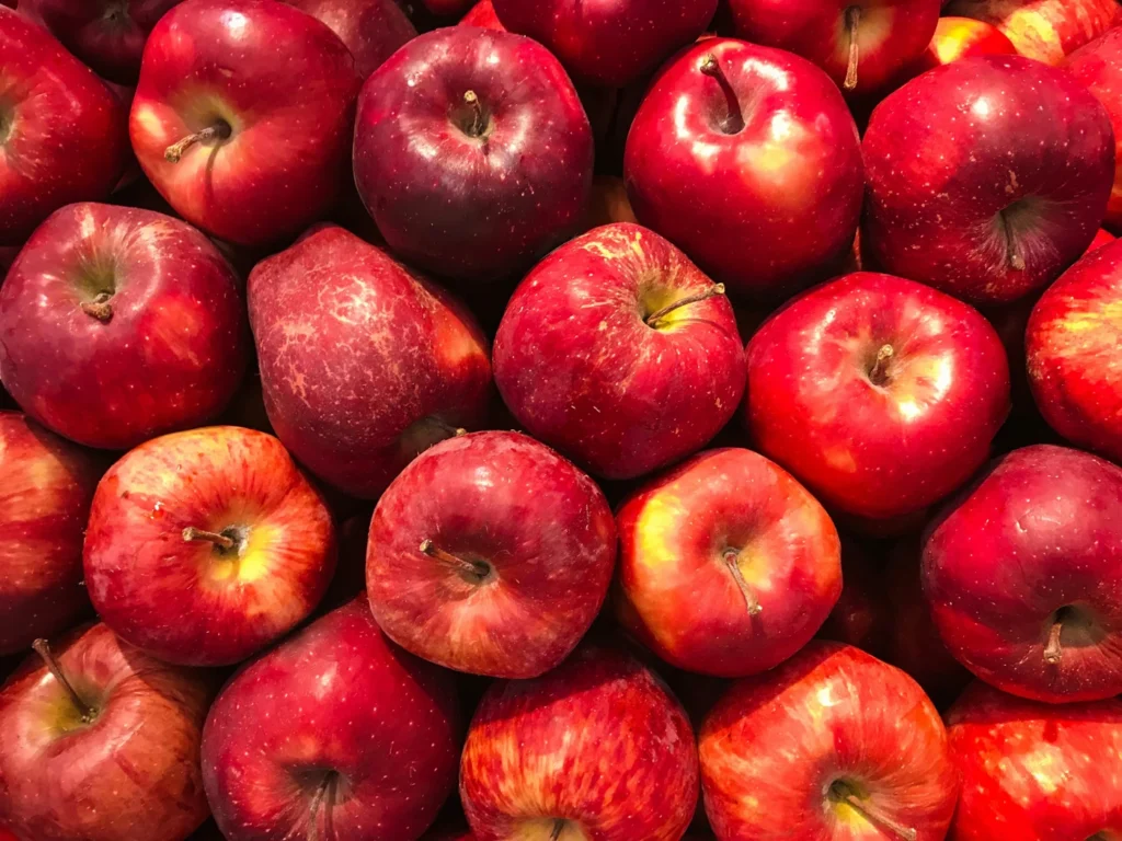 apple sample product image
