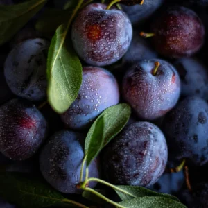 prune sample product image