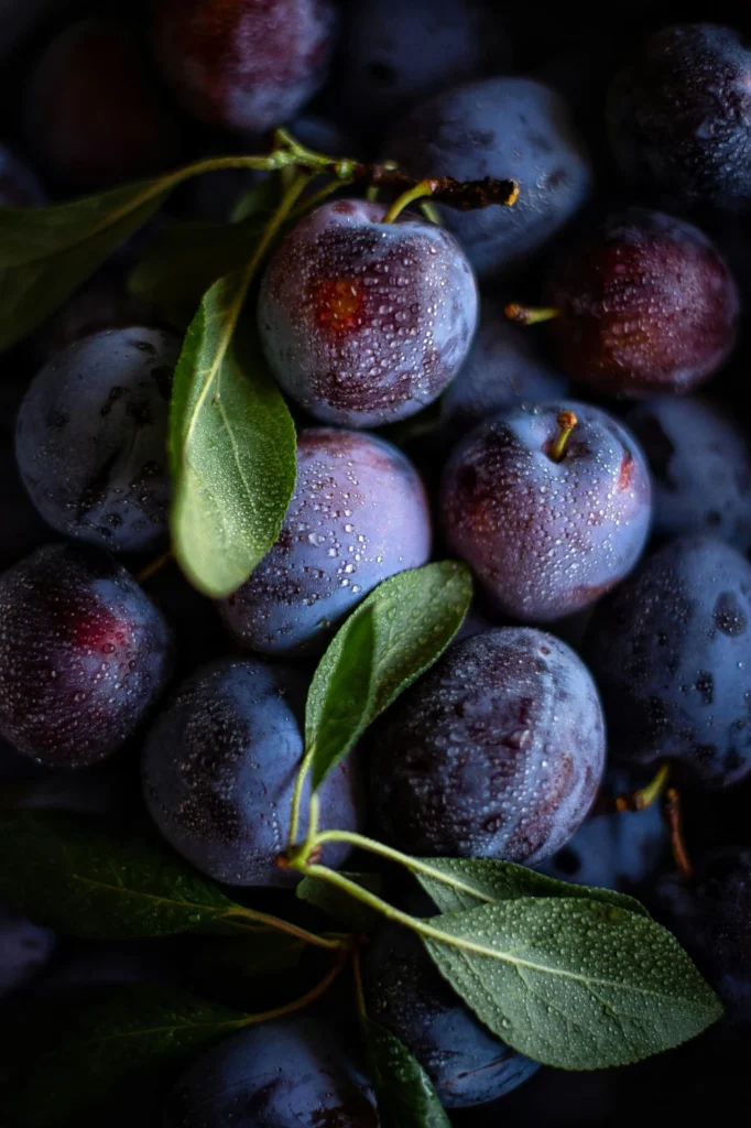 prune sample product image